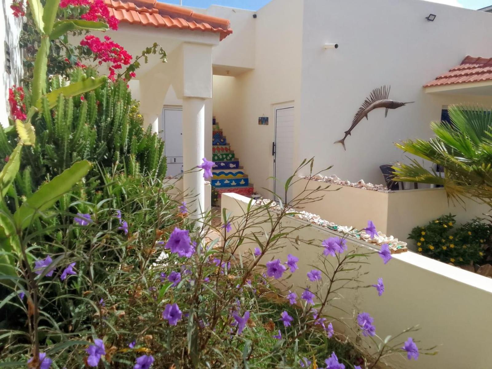 Casa Djarmai Boutique Apartments Cidade do Maio Экстерьер фото